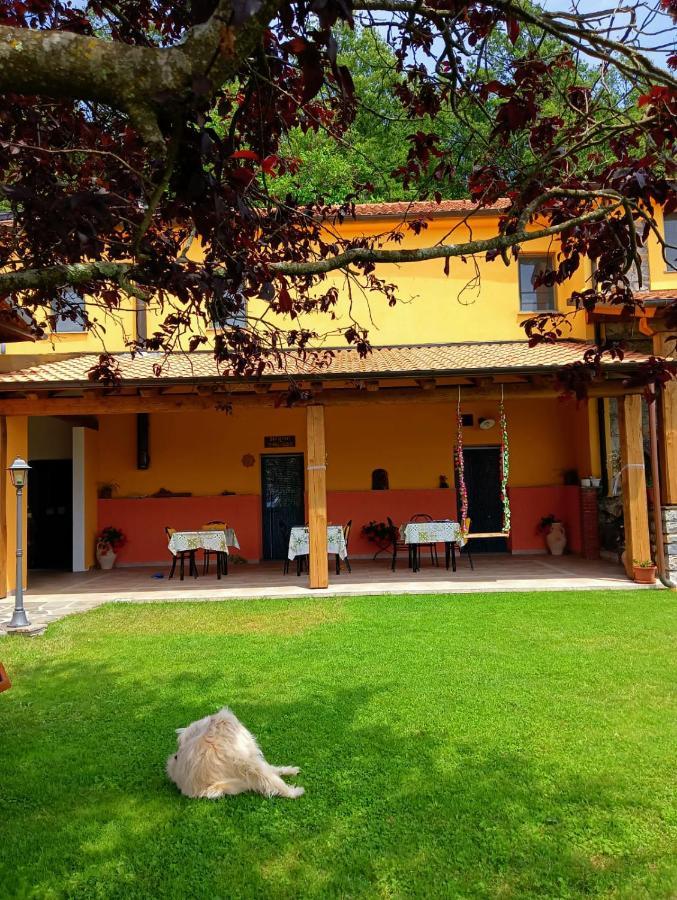 Terra Del Bosco Agriturismo Sesta Godano المظهر الخارجي الصورة