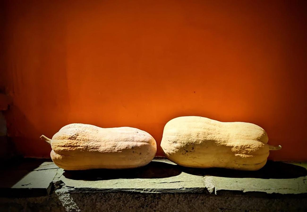 Terra Del Bosco Agriturismo Sesta Godano المظهر الخارجي الصورة
