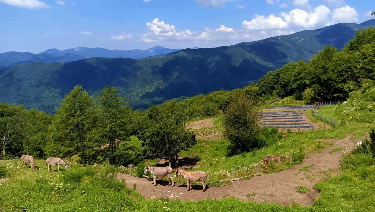 Terra Del Bosco Agriturismo Sesta Godano المظهر الخارجي الصورة
