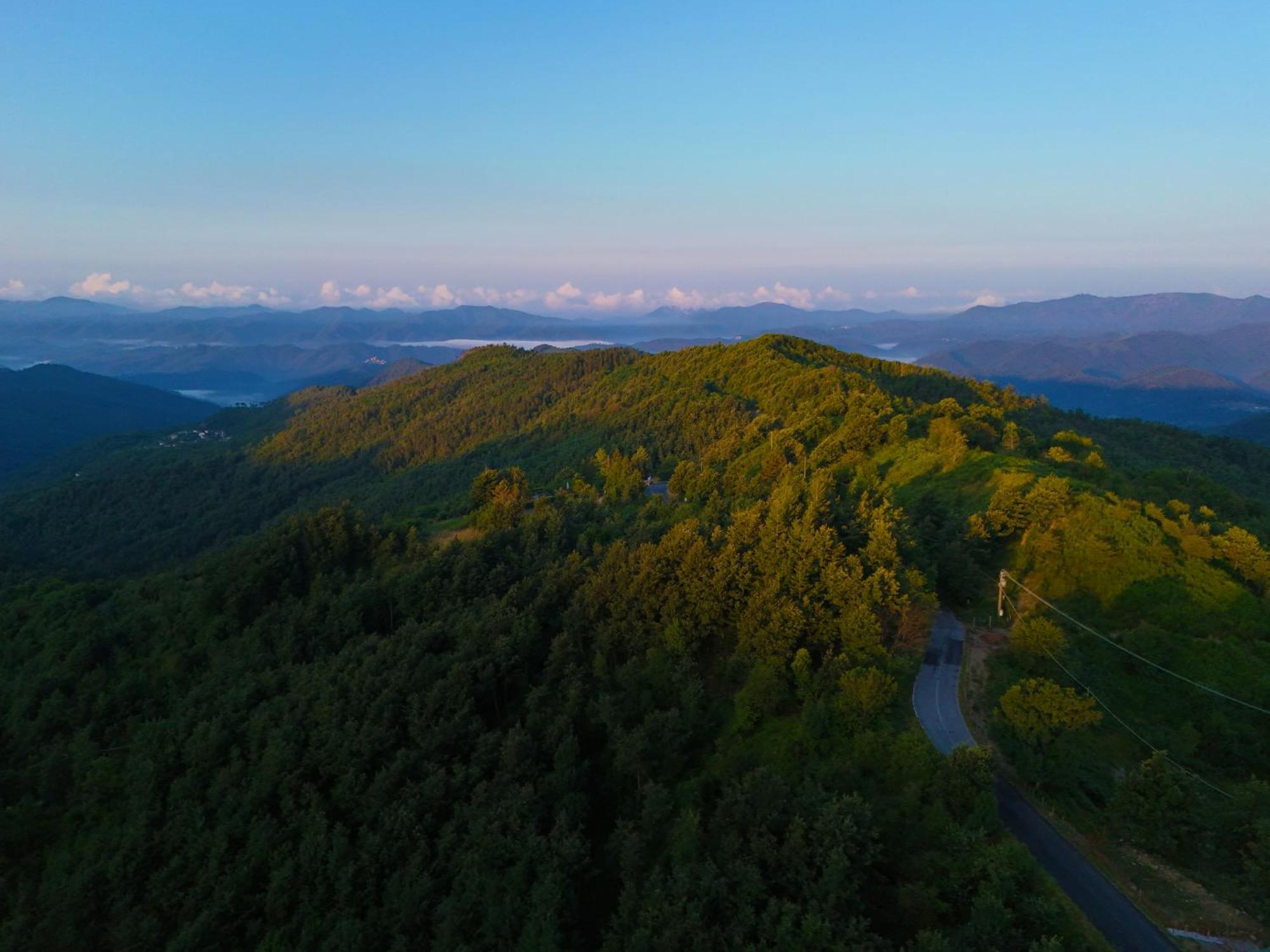 Terra Del Bosco Agriturismo Sesta Godano المظهر الخارجي الصورة