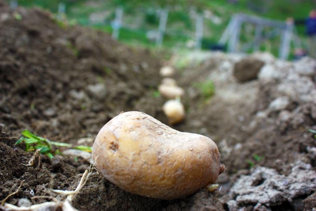 Terra Del Bosco Agriturismo Sesta Godano المظهر الخارجي الصورة