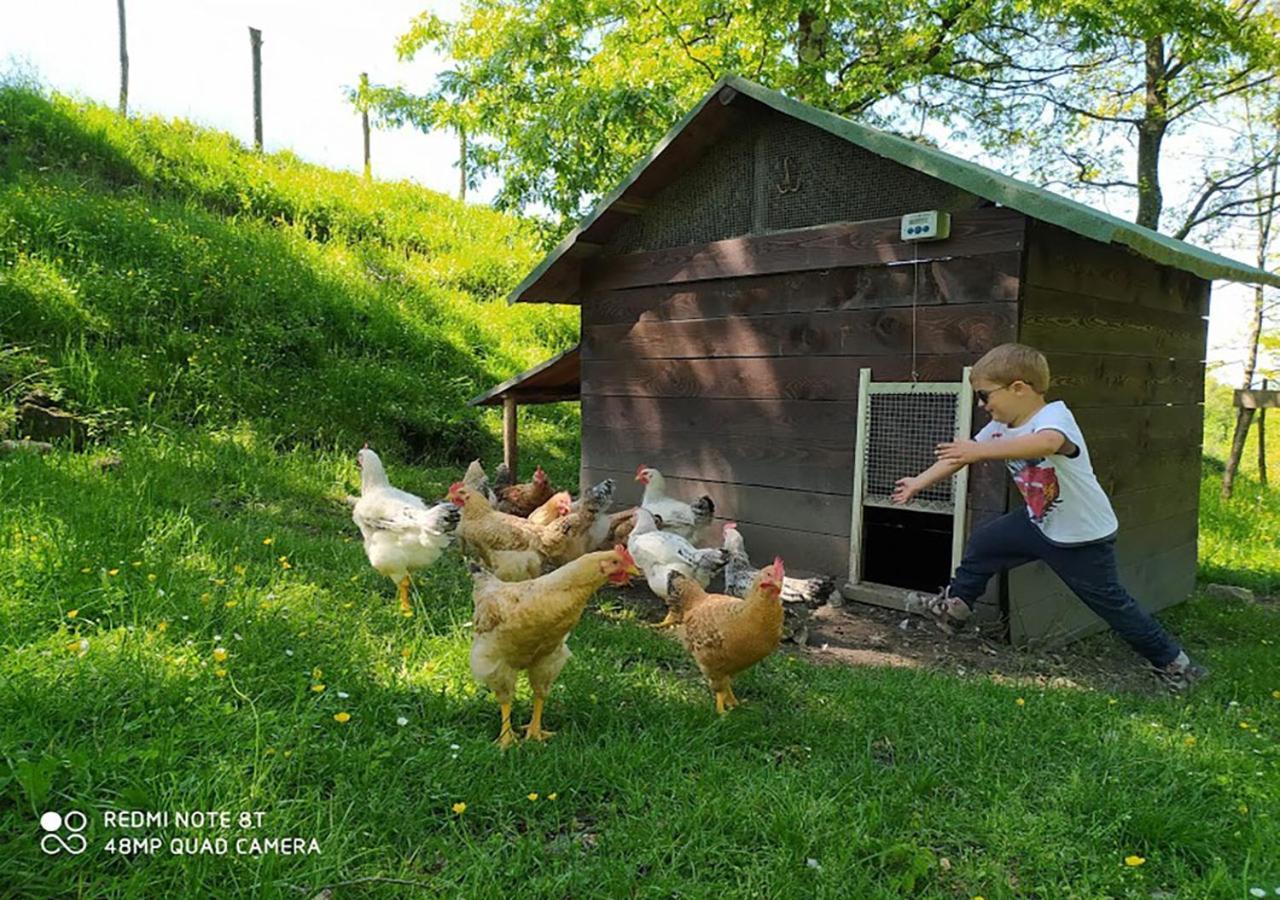 Terra Del Bosco Agriturismo Sesta Godano المظهر الخارجي الصورة